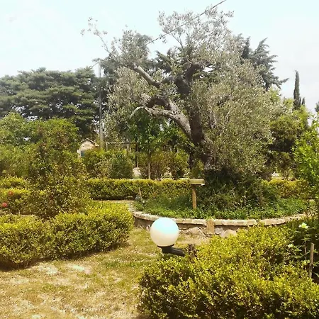 Luna Ridens Farm stay