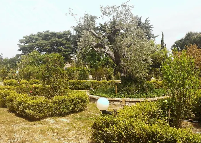 Luna Ridens Lantgård